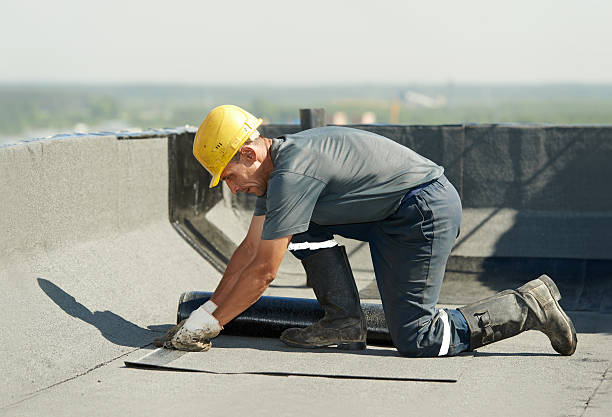 Best Specialized Insulation Services in Thatcher, UT